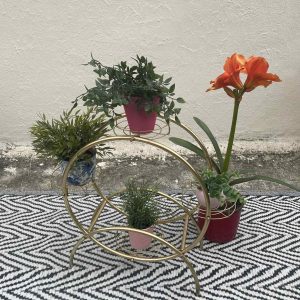 Réz 5 Elemes Virágtartó